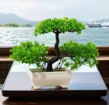 Bonsai Planta artificial